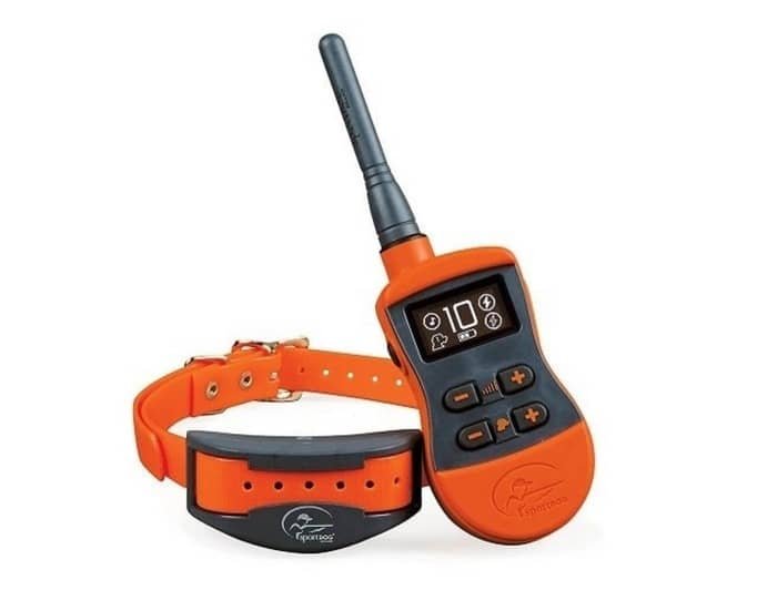 SportDog SD-1225E recenze