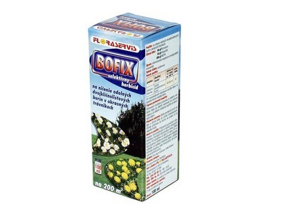 Floraservis Bofix Floraservis Bofix