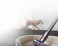 Vysavač na psí chlupy Dyson V12 Slim Absolute
