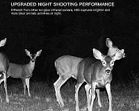 Apeman Trail Cam H55 noční focení