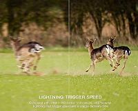 Apeman Trail Cam H55 PIR senzor