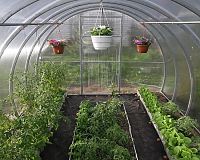 Skleník LanitPlast DODO