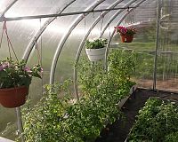 Zahradní skleník LanitPlast DODO recenze
