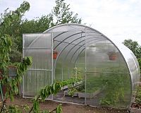 Polykarbonátový skleník LanitPlast DODO Dneper recenze