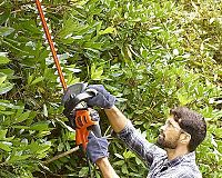 Elektrické nůžky na živý plot Black & Decker BEHTS501 recenze