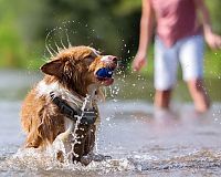 Petrainer 620 voděodolnost