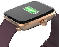 iGET FIT F20 baterie