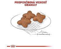 Royal Canin Mini Adult velikost granulí